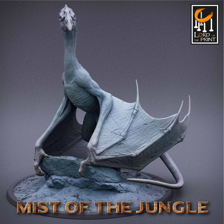 General Amazone Pack | Mist of the Jungle | Lord of the Print | Wargaming | Dungeons and Dragons | Amazon | Tabletop RPG | DnD