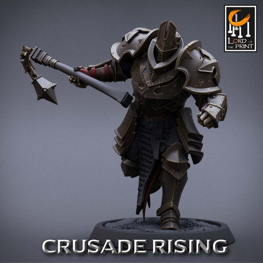 Templar Flail Pack | Crusade Rising | Lord of the Print | Wargaming | Dungeons and Dragons | Tabletop RPG | DnD