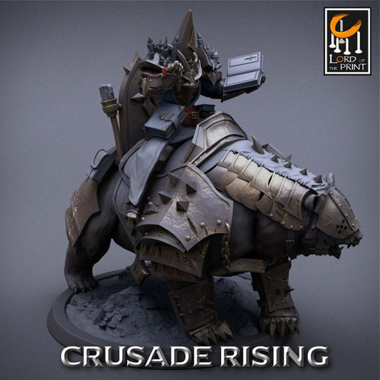 Templar Priest Pack | Crusade Rising | Lord of the Print | Wargaming | Dungeons and Dragons | Tabletop RPG | DnD