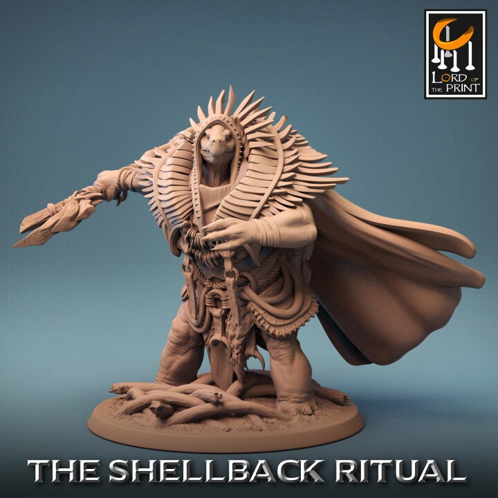 Shaman Turtle | Shellback Ritual | Lord of the Print | Wargaming | Dungeons and Dragons | Tabletop RPG | DnD