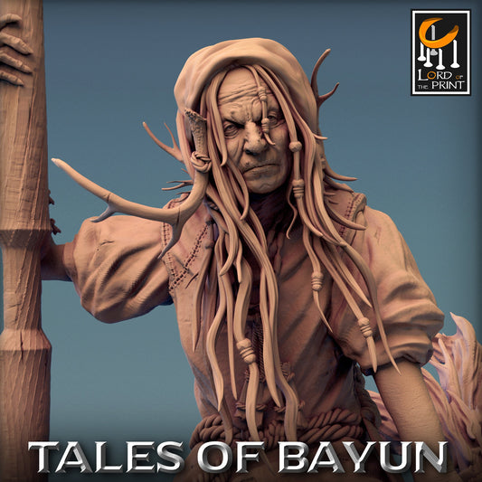 Baba Yaga | Tales of Bayun | Lord of the Print | Wargaming | Dungeons and Dragons | Swamp tales | Tabletop RPG | Evil Witch | DnD