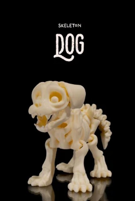 Articulated Skeleton Animals | Skeleton Dog | Skeleton Cat | Skeleton Chameleon | Skeleton Squirrel | Skeleton Rabbit | Halloween Animals