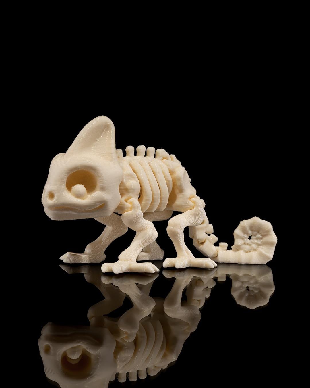 Articulated Skeleton Animals | Skeleton Dog | Skeleton Cat | Skeleton Chameleon | Skeleton Squirrel | Skeleton Rabbit | Halloween Animals