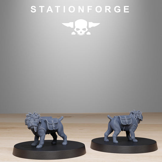 GrimGuard Skulldart Trappers | Station Forge | Wargaming