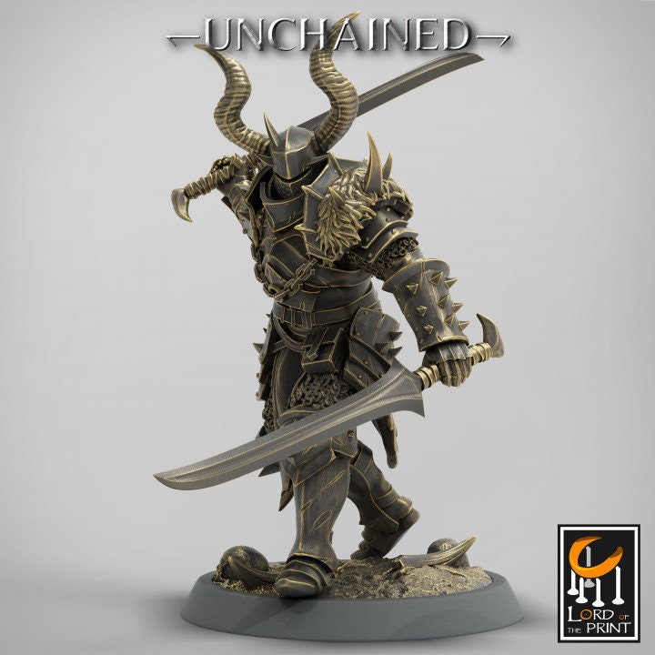 Dual Sword Squadron | Unchained | Lord of the Print | Wargaming | Dungeons and Dragons | Chaos | Tabletop RPG | Knight | DnD