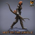Light Amazon Archer Pack | Mist of the Jungle | Lord of the Print | Wargaming | Dungeons and Dragons | Amazon | Tabletop RPG | DnD