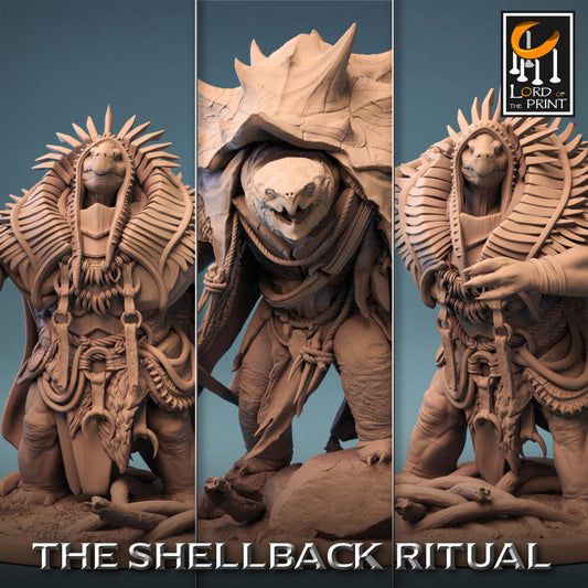 Shaman Turtle | Shellback Ritual | Lord of the Print | Wargaming | Dungeons and Dragons | Tabletop RPG | DnD