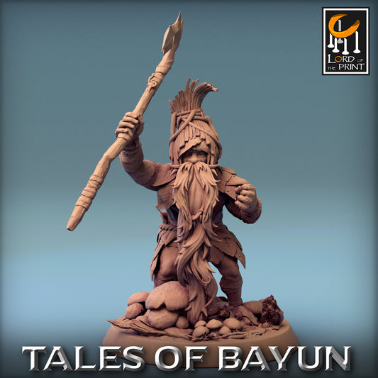 Borovichok Pack | Tales of Bayun | Lord of the Print | Wargaming | Dungeons and Dragons | Swamp Tales | Tabletop RPG | Small Magical | DnD