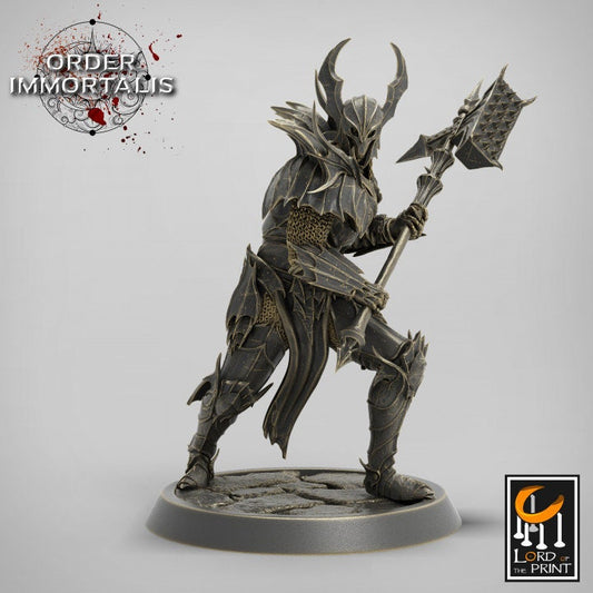 Blood Knights Hammer Pack - Dungeons and Dragons D&D - Vampire Knights - Fantasy Tabletop Gaming Collectible