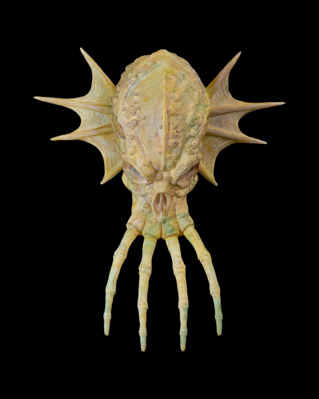 Handcrafted Dragon Skull Wall Ornament | Gothic Home Decor | Fantasy Dragon Head Sculpture | Unique 3D Wall Art | Mythical Creature Decor