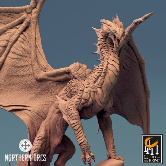 Silver Dragon | Lord of the Print | Wargaming | Dungeons and Dragons | Tabletop RPG | DnD | Fantasy models for painting