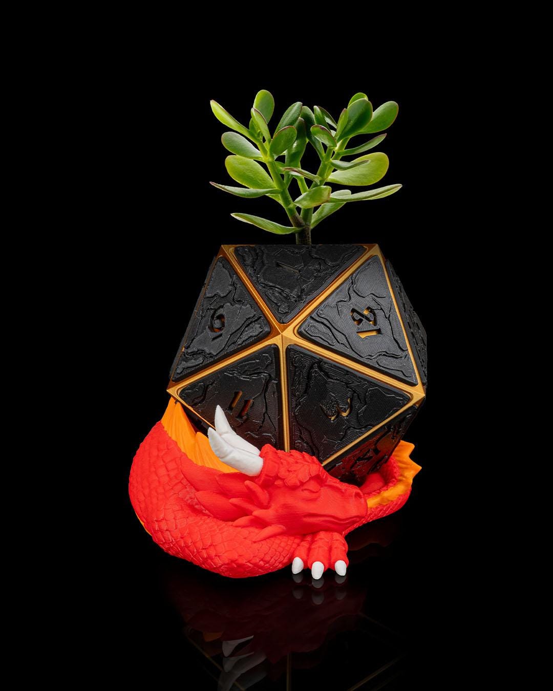 D20 Dice Planter – Geeky Plant Pot for RPG & DnD Fans!