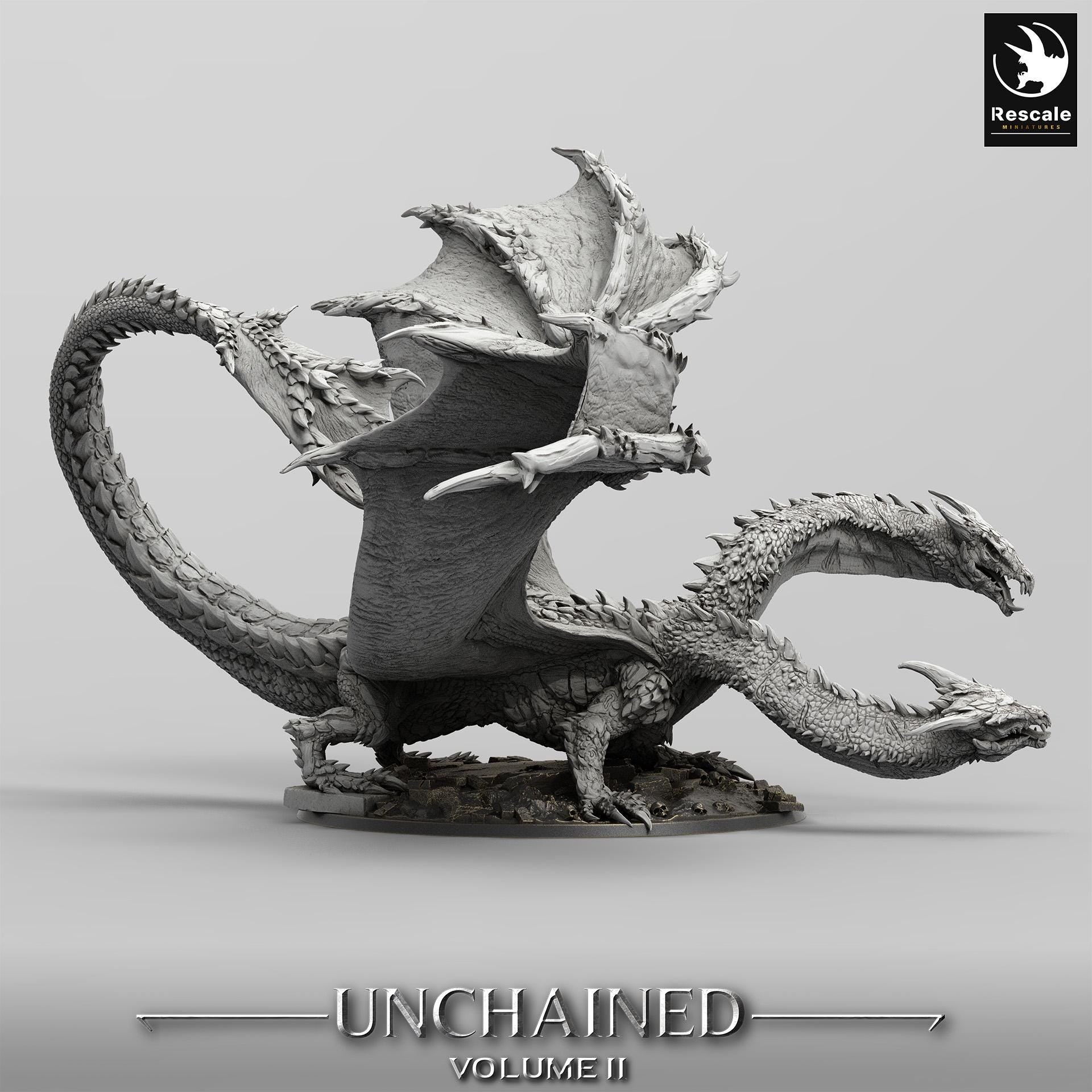Dragon Bialmuth Miniature | DnD Gift | Unchained | Lord of the Print | Wargaming | Dungeons and Dragons | Tabletop RPG |Dragon Rider