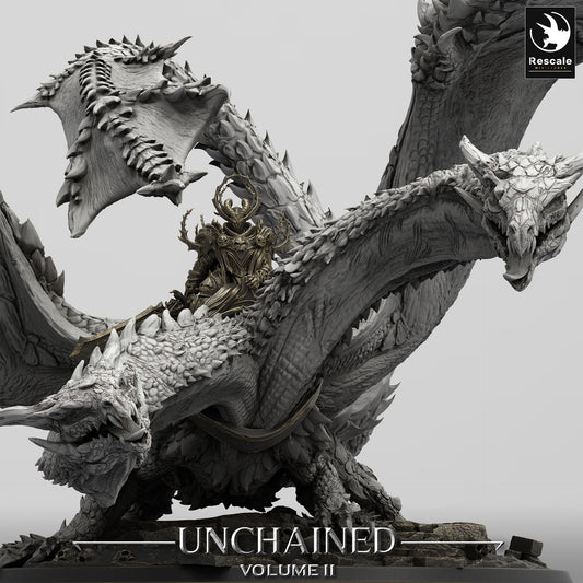 Dragon Bialmuth Miniature | DnD Gift | Unchained | Lord of the Print | Wargaming | Dungeons and Dragons | Tabletop RPG |Dragon Rider